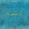 4rm Sonni - Marigold - EP